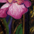 :iconbluecentrelight: