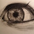 :iconbluechameleon7:
