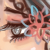 :iconBLueCL0ver: