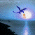 :iconbluedragon: