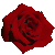 :iconblueeyedgirl12: