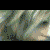 :iconBlueFactor: