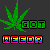 :iconblueflagryders: