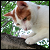 :iconblueflame093: