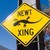 :iconbluefootednewts: