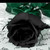 :iconblueharmony14: