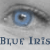 :iconblueiris67:
