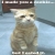 :iconbluekikoblues: