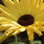 :iconbluelikefriday: