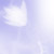 :iconbluelunatic: