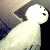 :iconbluemeanie: