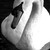 :iconbluemoon213: