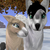 :iconbluemoonwolfspirit: