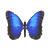 :iconBlueMorphoButterfly: