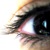 :iconbluenewt: