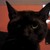 :iconbluenoise38: