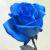 :iconblueoceanrose: