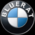 :iconbluerat: