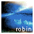 :iconbluerobin: