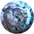 :iconblueshell: