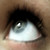 :iconbluesilverwolf: