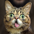 :iconbluesion: