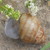 :iconbluesky1310:
