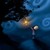 :iconbluespirit79: