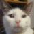 :iconbluestar20337: