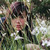 :iconbluestarrylights:
