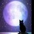 :iconbluestarwarriorcats: