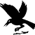 :iconbluestiger: