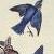 :iconbluesuburbanskies: