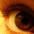 :iconblueswan23: