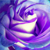 :iconbluetethys:
