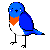 :iconbluetetra: