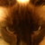 :iconbluetype40: