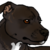 :iconbluewolf100996: