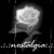 :iconbluewolf1447: