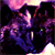 :iconbluewolfey: