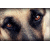 :iconbluexbandana: