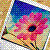 :iconbluexgreenxpink:
