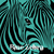 :iconbluezebra3: