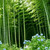 bluezebra8675309 :iconbluezebra8675309: