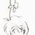 :iconblumiralein: