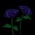 :iconBlumLi: