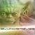 :iconblunderbuss: