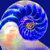 :iconbluneptune: