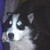 :iconbluntersky: