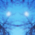 :iconblurphoto: